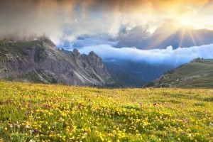 10.-Alpine-Meadow-with-Wildflowers-300x200
