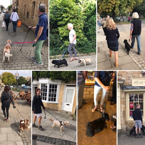 17B8CFC5-F61E-4D99-B8DE-296C16AAE0CB